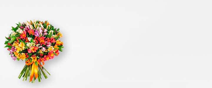 Image Slider