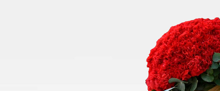 Image Slider