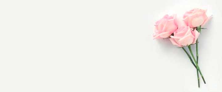 Image Slider