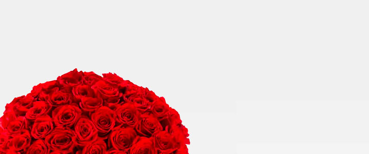 Image Slider
