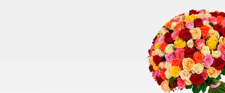 Image Slider