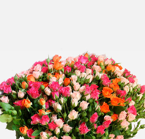Image Slider