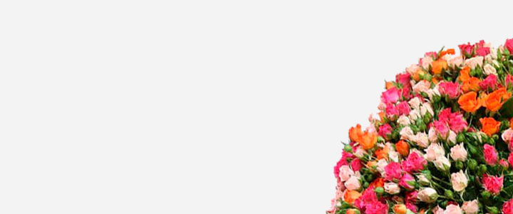 Image Slider