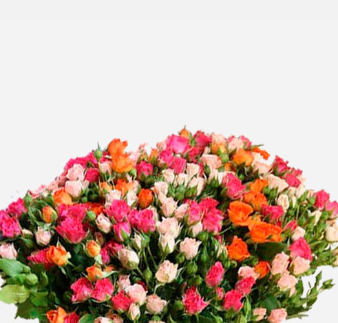 Image Slider