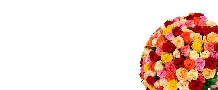 Image Slider