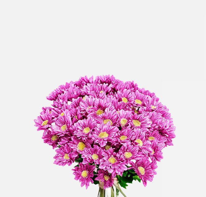 Image Slider