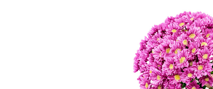Image Slider