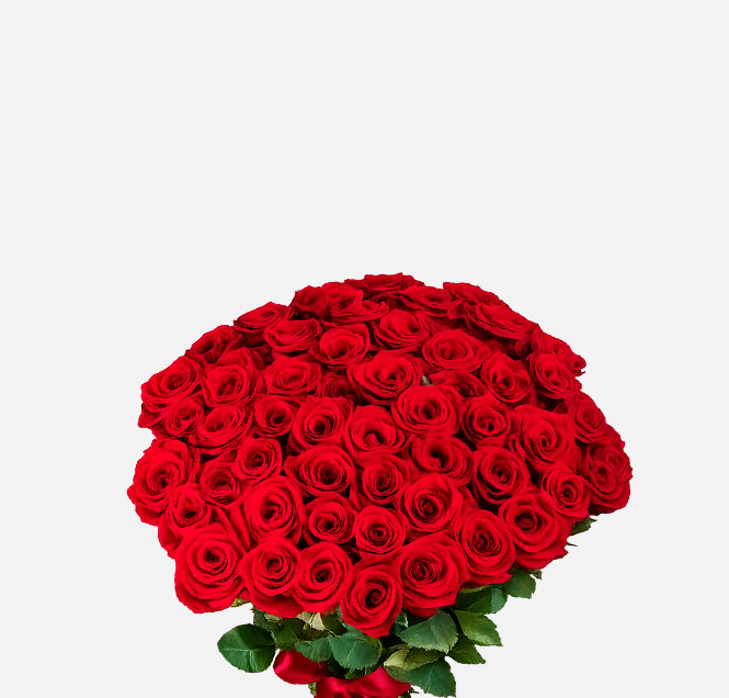 Image Slider