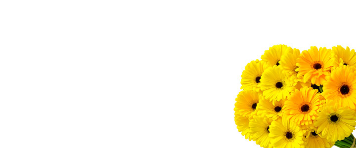Image Slider