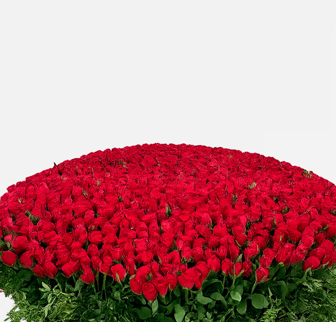 Image Slider