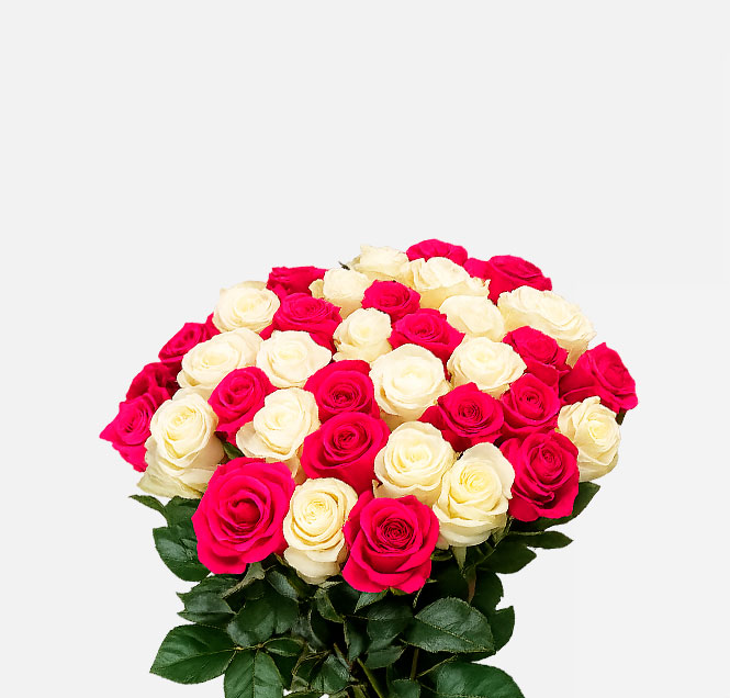 Image Slider