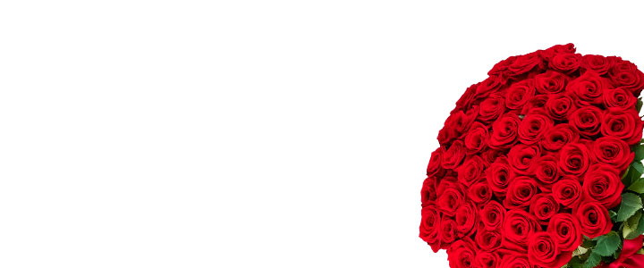 Image Slider