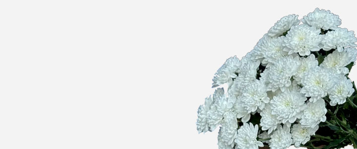 Image Slider