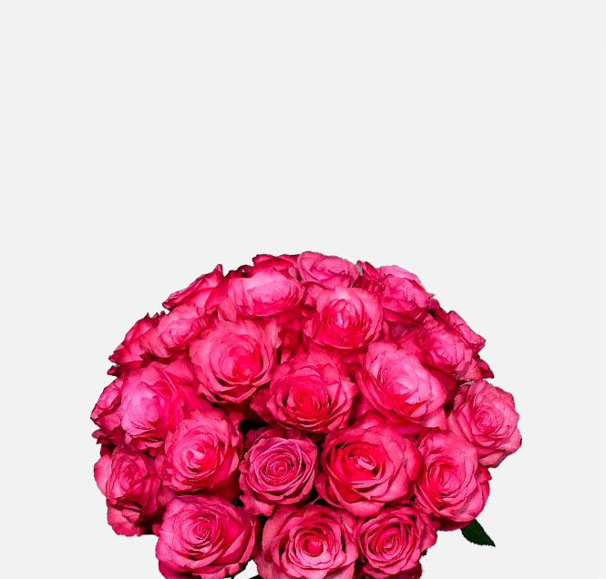 Image Slider