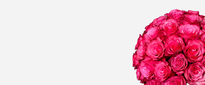 Image Slider