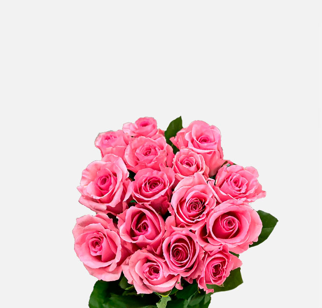 Image Slider