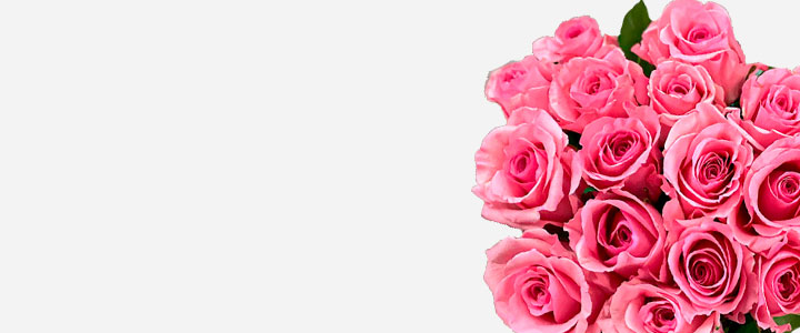 Image Slider