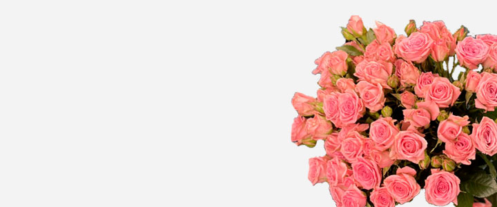 Image Slider